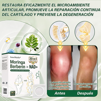 InnoMedix® Moringa Berberina x NAD+ 20-EN-1 Parche Avanzado de Nano-Microagujas (Aplicar solo una vez al día – cambios visibles en tan solo 7 días.)（美国西语）