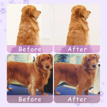 🔥Limited time Discount🔥Spray defur comb with No-Rinse shampoo for Pet Bathing
